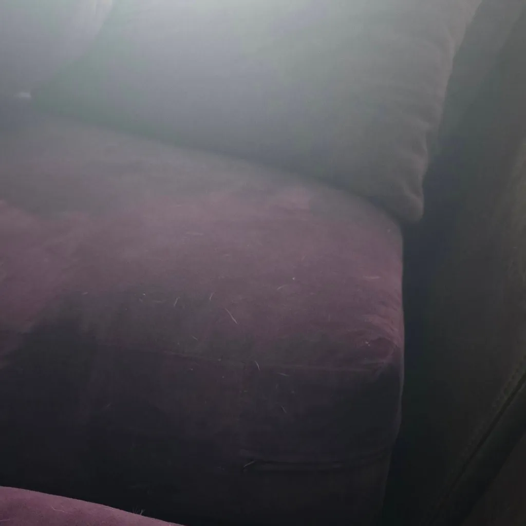 chat with ai character: cushion 