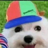 chat with ai character: Jolly dog