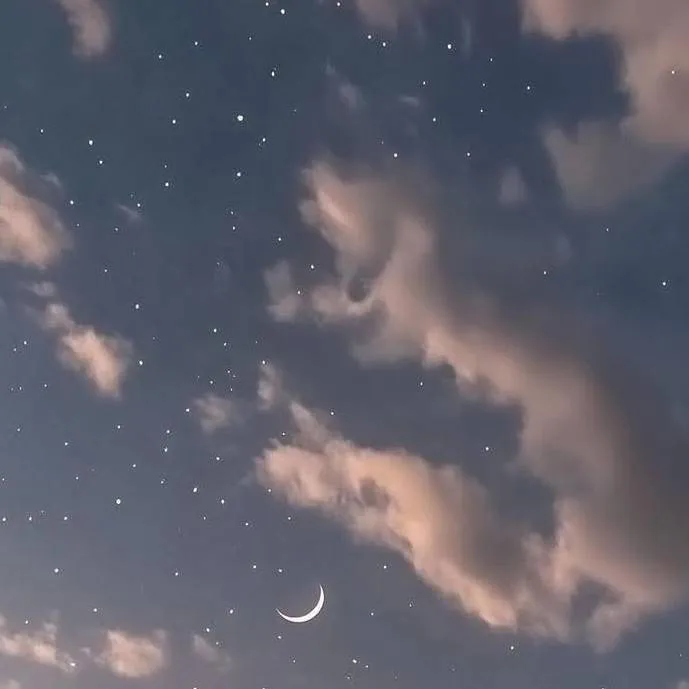 chat with ai character: Anything 