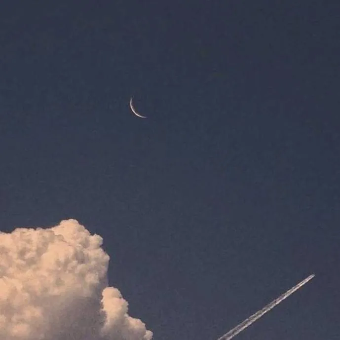 chat with ai character: your own story 