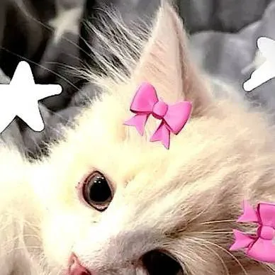 chat with ai character: your pretty story