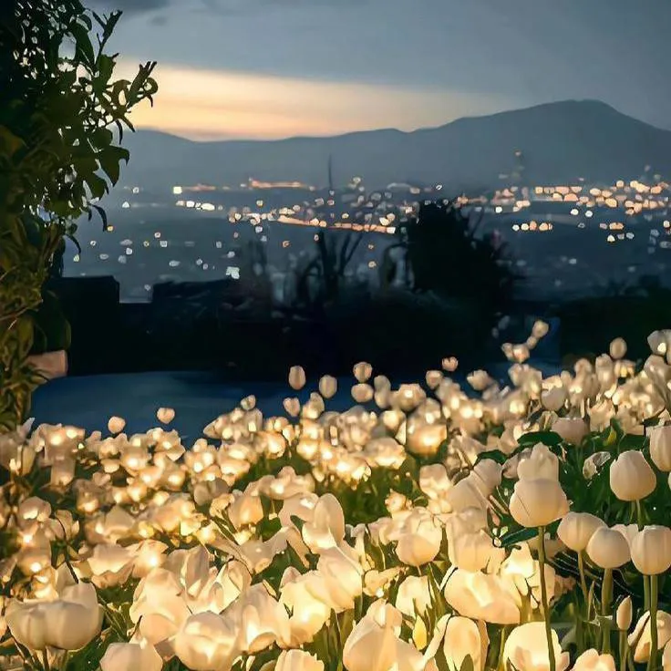 chat with ai character: anything 