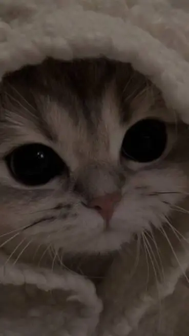 Talkie AI - Chat with fs but me & bff