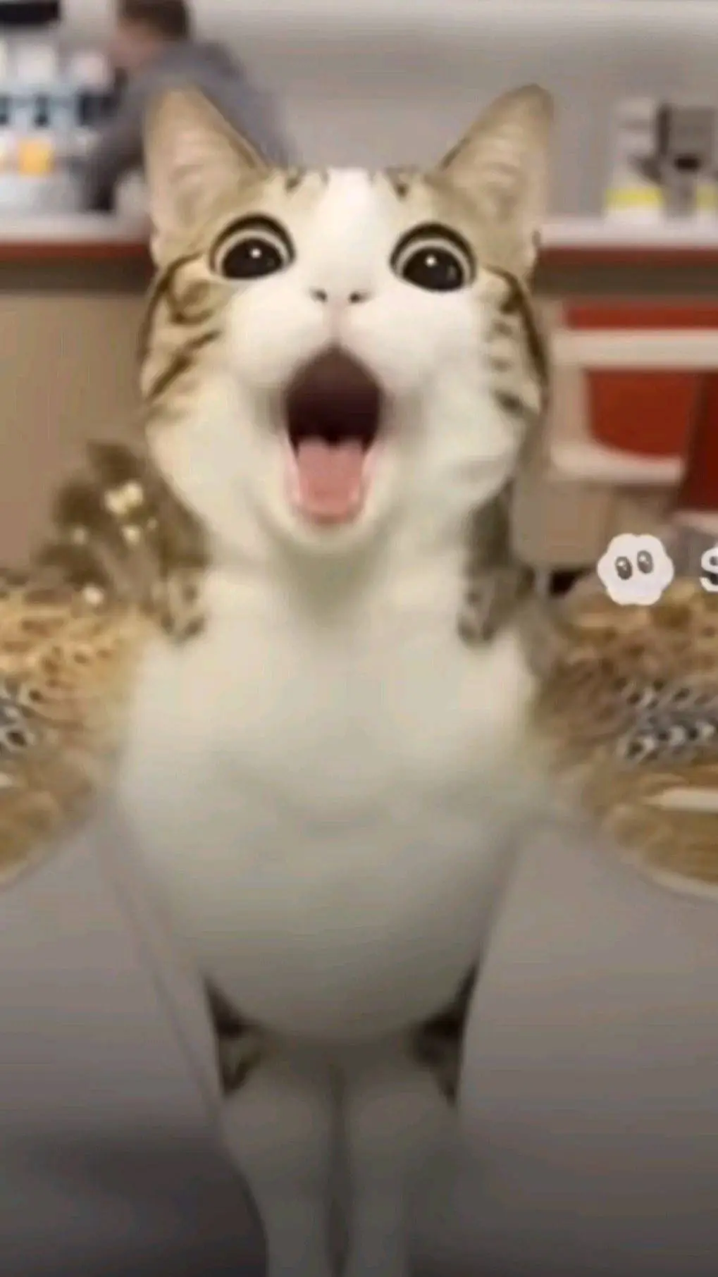 ai character: мновл background