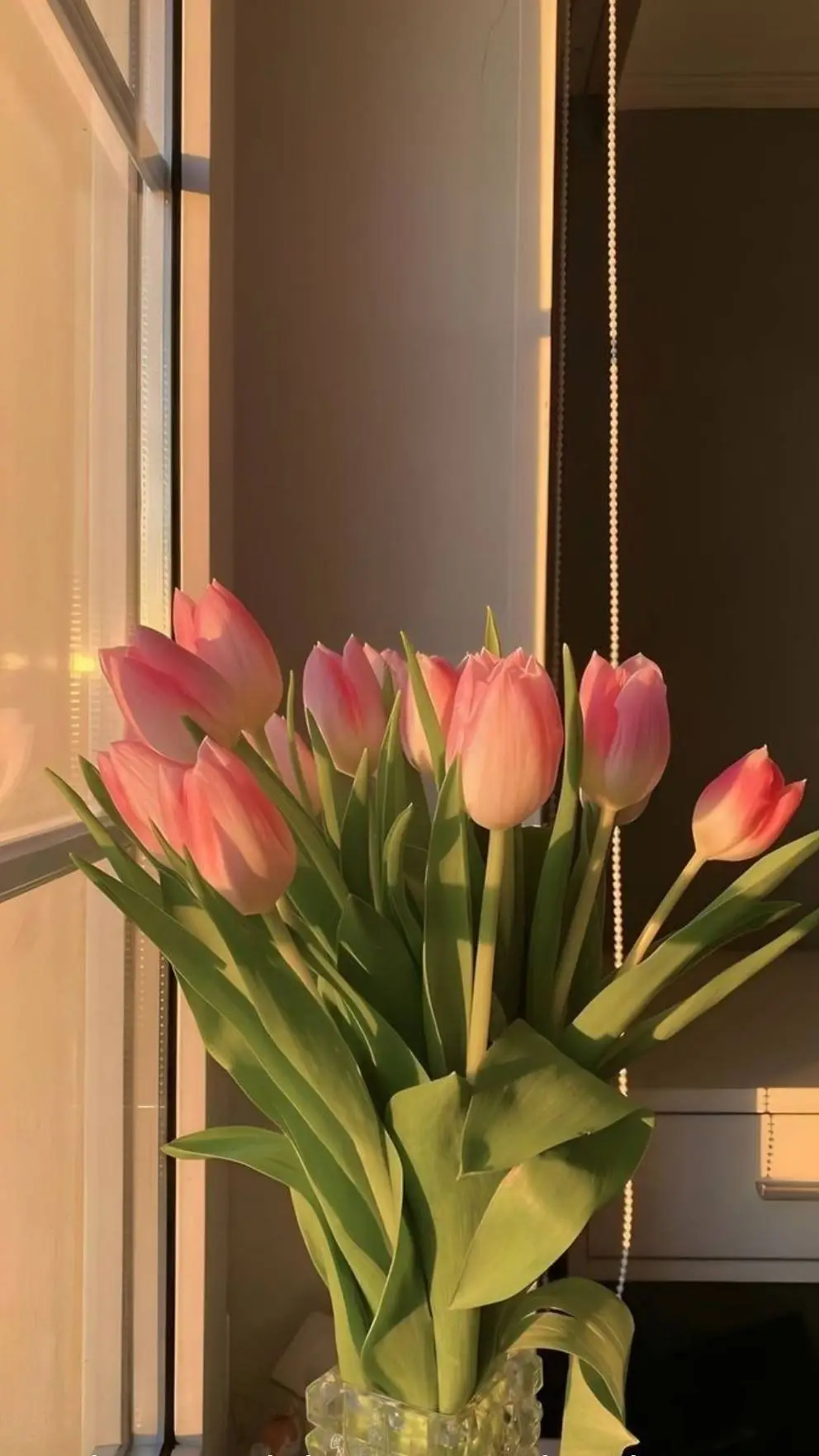 ai character: Mm2♡! background