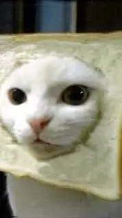 ai character: :P background