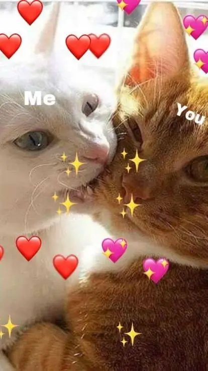 ai character: Jorge e Daniela background