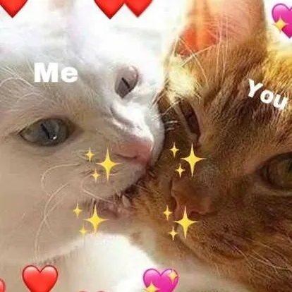 chat with ai character: Jorge e Daniela