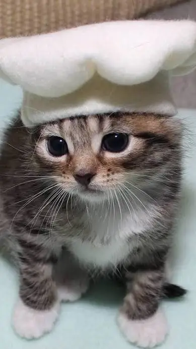 ai character: eu background