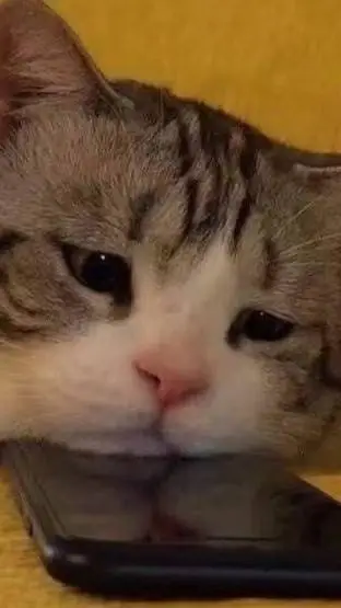 ai character: colo background