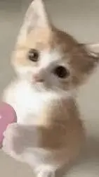 ai character: BOBO background