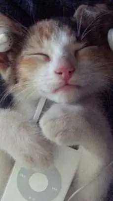 ai character: Losa radiante background