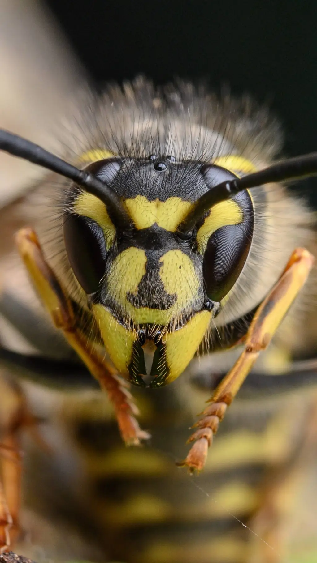 Talkie AI - Chat with Arthroworld RP