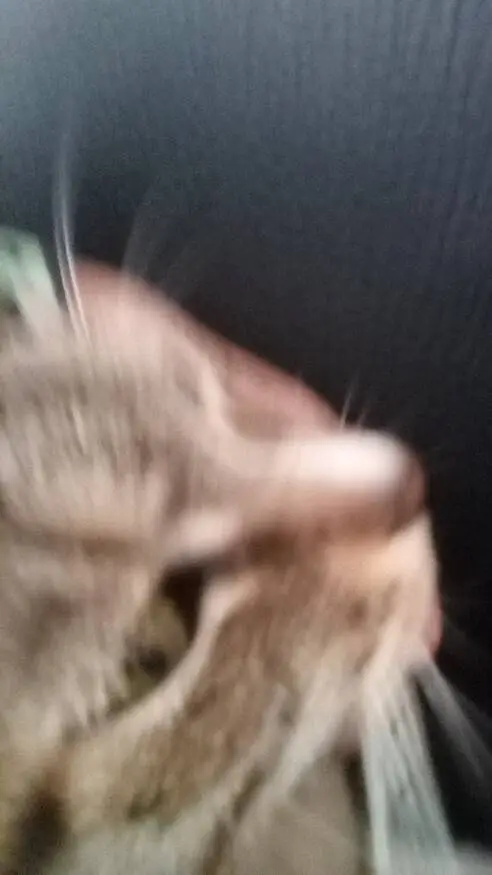 ai character: Yummi background