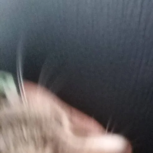 chat with ai character: Yummi