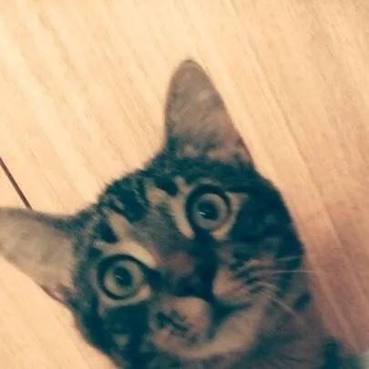 chat with ai character: Ozzy