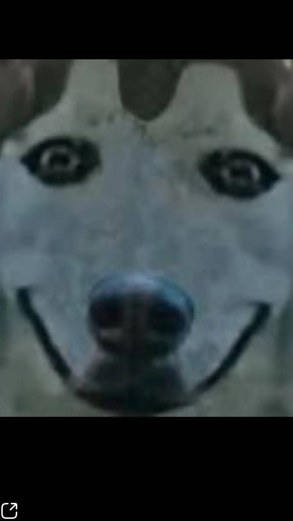 ai character: creepy dog background