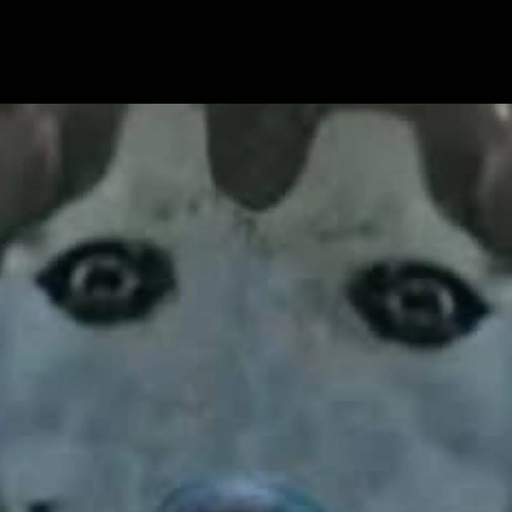 chat with ai character: creepy dog