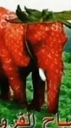 ai character: 🍓elefante fresa 🍓 background