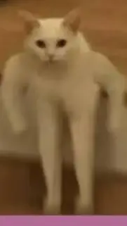 ai character: tu dile cómo sea background