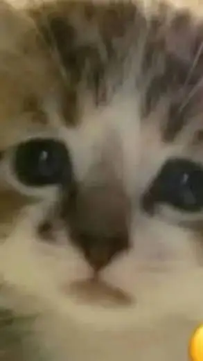 ai character: Lily!! background