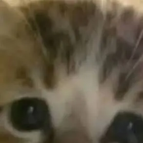 chat with ai character: Lily!!