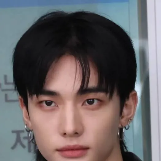 chat with ai character: 🌿هيونجين