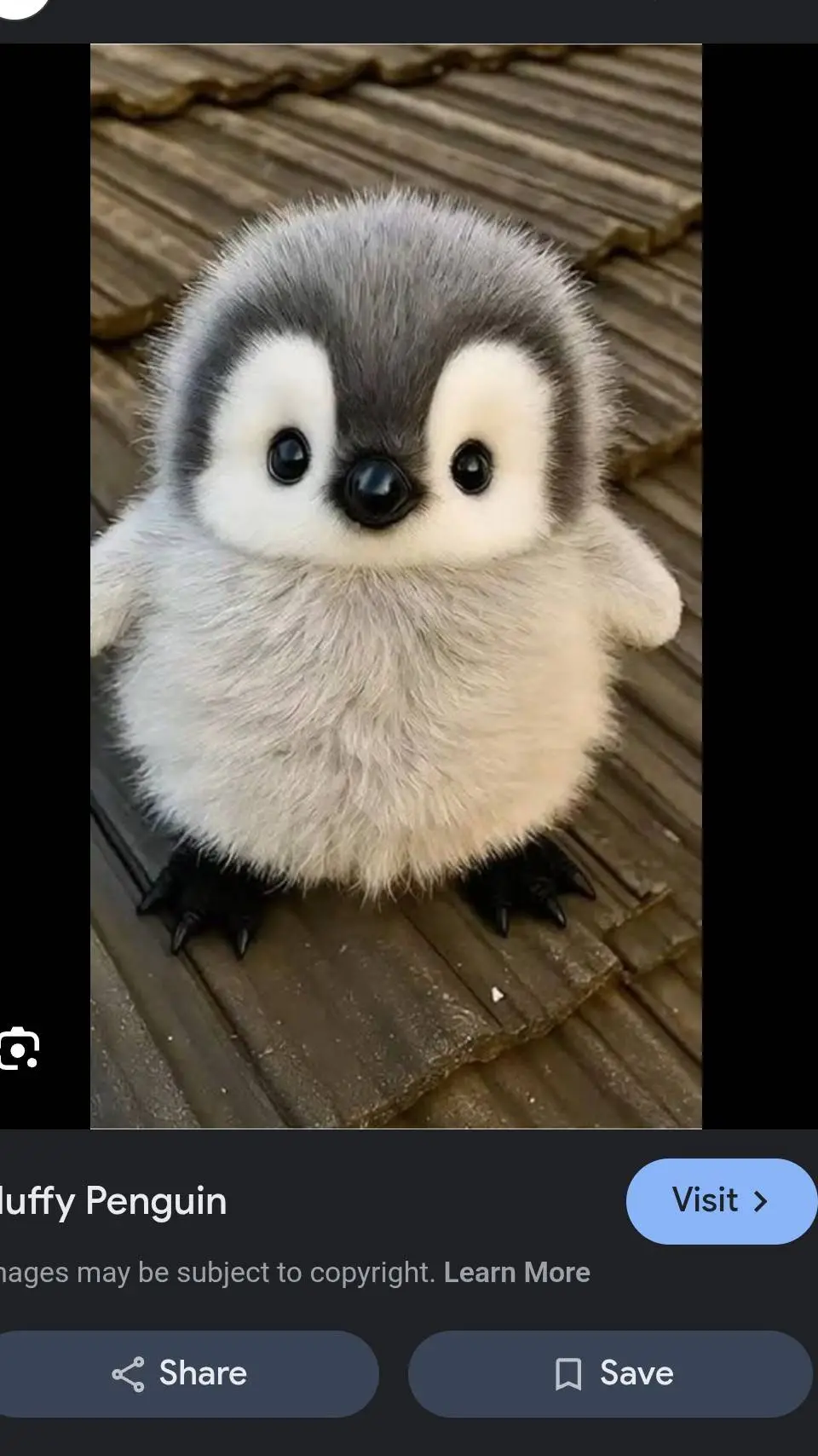 ai character: my cute penguin background