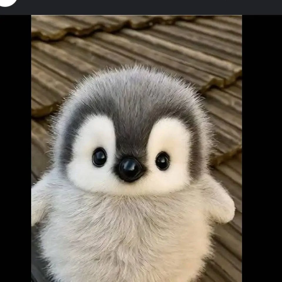 chat with ai character: my cute penguin