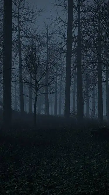 ai character: The lonely forest. background