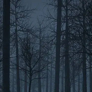 chat with ai character: The lonely forest.