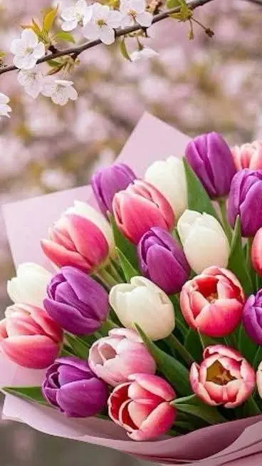 ai character: kpdh background