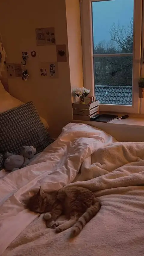 ai character: Sleepover !! background