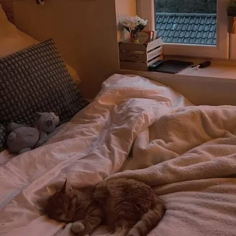 chat with ai character: Sleepover !!