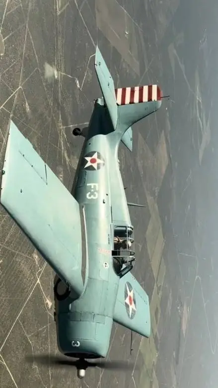 ai character: F4F-3 WILDCAT background