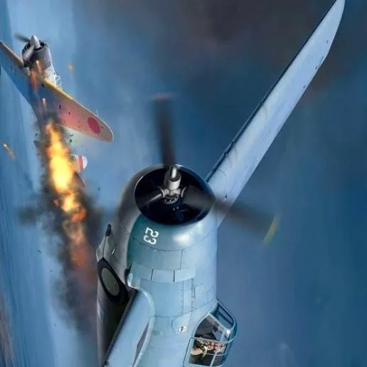 chat with ai character: F4F-4 WILDCAT