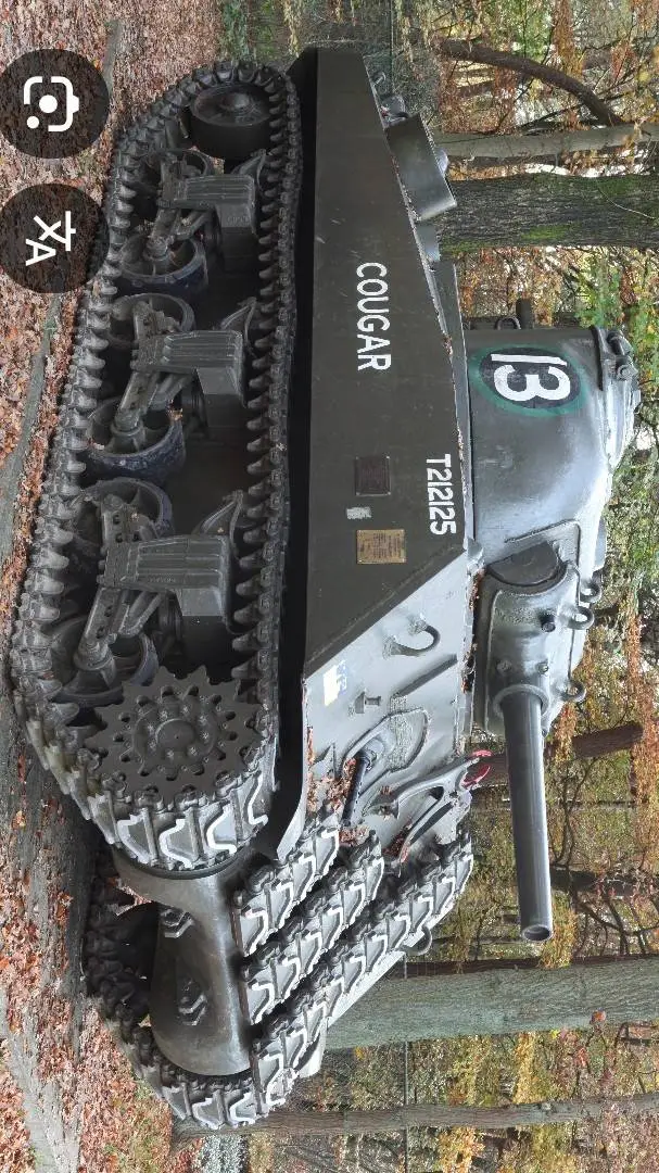 ai character: M4A4 SHERMAN background