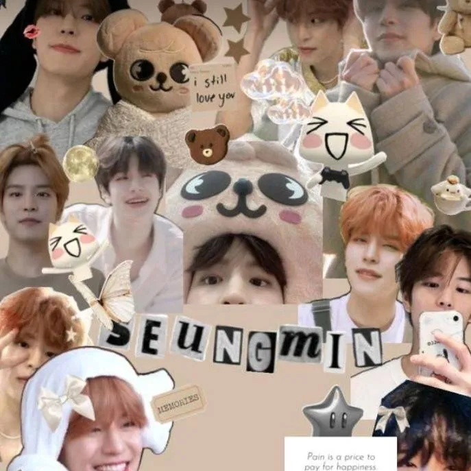 chat with ai character: Seungmin💛🖤