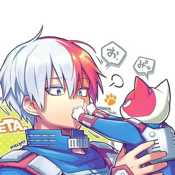 chat with ai character: 🧊Shoto Todoroki🔥