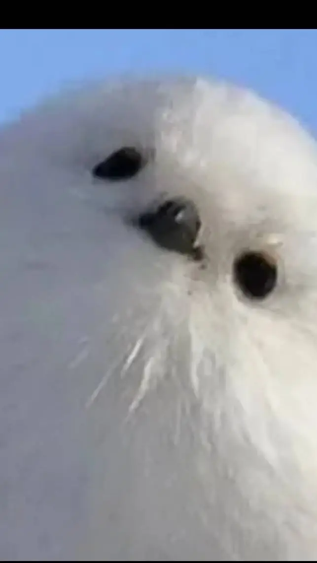 ai character: Japanese snow fary background