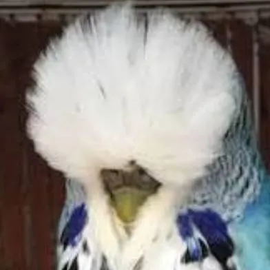 chat with ai character: long lost cousin 