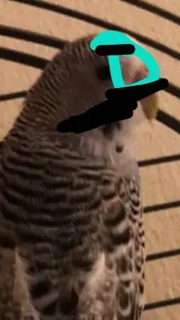 ai character: Senior Lucy background