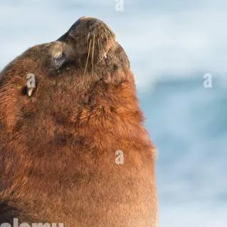 chat with ai character: majesticoes