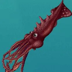 chat with ai character: Burmese squid