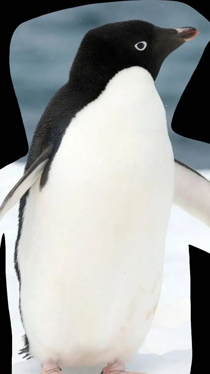 ai character: pi pi background