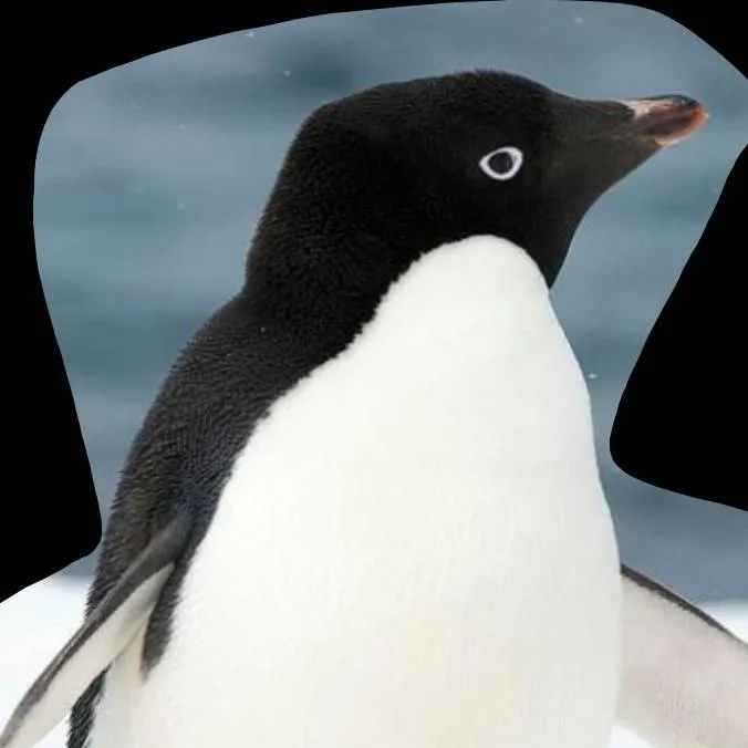 chat with ai character: pi pi