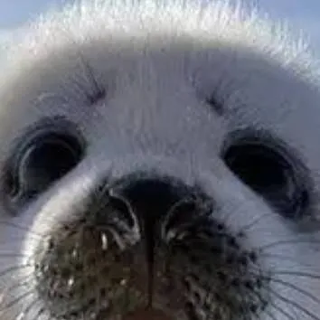 chat with ai character: nerpa power