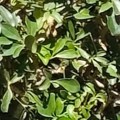 chat with ai character: Escuela