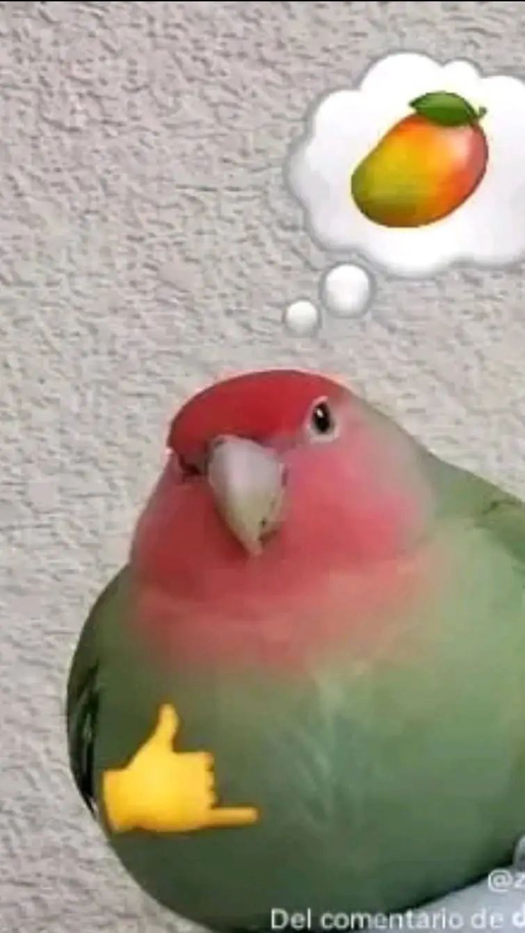 ai character: manguito background