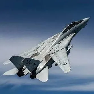 chat with ai character: F-14D Super Tomcat